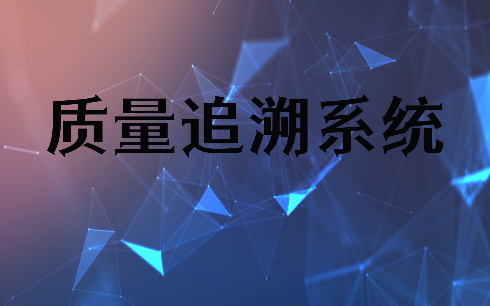 追溯系統定制